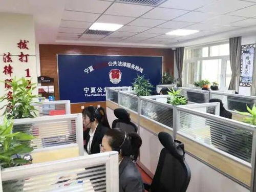 宁夏12348法律咨询热线春节不打烊 法律服务暖心伴佳节